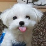 <b>엄마</b> 선물 <b>추천</b> 좀ㅠㅠ