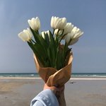 [댓글부탁해] 모르는사람이 페북 친신걸면 어떨것같아ㅠㅠ??