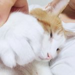 [댓글부탁해] 니네 요즘 뭐입고<b>다님</b>?
