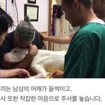 마지막 인사..