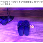 [댓글부탁해] 콩순이 인형 신발 정리해 놓은 애기 <b>손님</b>ㅠㅠ