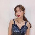 아오아 유나의 반려<b>동물</b>들