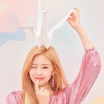 [모두드루와] 주작 <b>의심</b>멤버 조유리, 김채원, 김민주