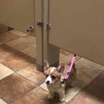 다들 각자 <b>소확</b>행 말하고 가자!