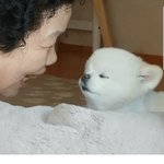 <b>님</b>들 나 예체능 과외받을건데