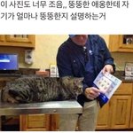 [댓글부탁해] 얘들아 이런 애 보면 <b>뭔</b> 생각들어