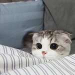 [댓글부탁해] 오늘 <b>택시</b>아저씨랑 우리아빠랑 싸움