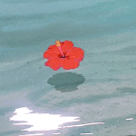 [댓글부탁해] I will love someone <b>again</b>