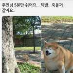 [댓글부탁해] <b>전여</b>친 프사 이건데 미련있는걸까