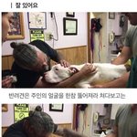 [모두드루와] 반려견 안락사 <b>마지막</b> 순간이래...