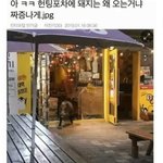 [모두드루와] 헌팅<b>포차</b> 돼지들이나 가는거 아냐?