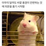 <b>의문</b>이 생김
