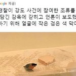 <b>신원</b>을 보호받는 새래