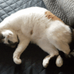 민지<b>할매</b> 보고싶다
