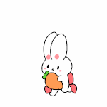 <b>이</b> 토끼<b>눈</b>?