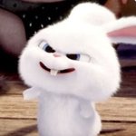 [댓글부탁해] 나 연<b>영과</b> 가고싶어졌는데 들어와줘