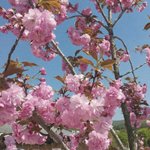 남자들 몸 <b>딴딴</b>한 거 넘 좋아 하앙