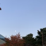 [드루와] 아 갑자기 배 ㅈㄴ아파