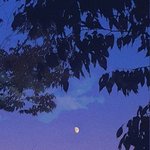 [ㅈㄱㄴ] 짝<b>녀랑</b> 나는 운명인가봄