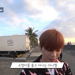 [강다니엘] 고먐미를 몰고다니는