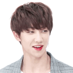 [댓글부탁해] 일본에서 생일 맞은 중국인인 한국아이돌