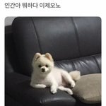 <b>양털</b>자켓 vs 패딩조끼
