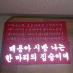 [드루와] 개 흔한이름 갑