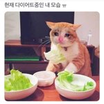 [댓글부탁해] 짝남이 안<b>읽씹</b>해서 연락끊긴애있냐