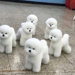 [드루와] 난 이런 화법이 제일 싫음