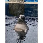 [모두드루와] 사람인줄?ㅋㅋㅋㅋㅋㅋㅋ