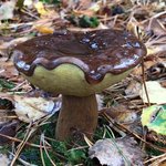 [모두드루와] 2억준대 이거 먹을래?