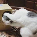 [댓글부탁해] 머리 갈아끼우는중