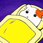 <b>내셔널</b> 숏패딩 작년이나 제작년꺼있는사람