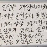 판 물타기 오져