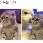 치마줄이려는데 수선집
