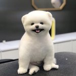 [19] 얘들아 나 <b>심즈</b> 브이로그로 유튜브 할건데 이름좀 정해조