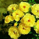 [댓글부탁해] 항상 개빡센 일반고 vs <b>요새</b> 뜨고있는 일반고