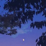 어쩌다 발견한 하루 가면 갈수록 노잼이냐