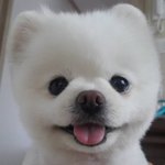 남자친구 생일날 <b>룸카페</b> 가고싶은데
