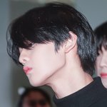 [댓글부탁해] 원래 덕질하면 일상생활 <b>불가</b>한거지