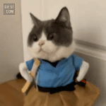 [드루와] <b>한</b>달동안 빵<b>디</b>에 힘주고 다닌 후기