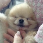 [드루와] 너희 <b>빼빼</b>로 샀니