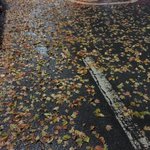 [드루와] 환경<b>미화</b>원분들 어떡해