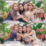 블핑 블랙핑크 지수 로제 <b>리사</b> 제니