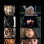 [모두드루와] <b>소연</b> 수진 호랑이띠고 우기 슈화 토끼띠인거 잘어울려...