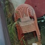 내가 귀여운거 보야줌(사진 흐릿주의)