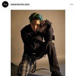 [EXO] 백현이 찐엓 <b>종인</b>이 사진 다 좋아요랑 댓ㅋㅋ