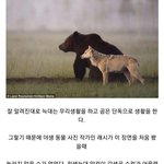 [드루와] <b>숲속</b>의 친구