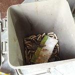 여성전용 <b>임대</b>주택의 현실