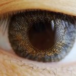 <b>홍채</b>는 영혼의지문